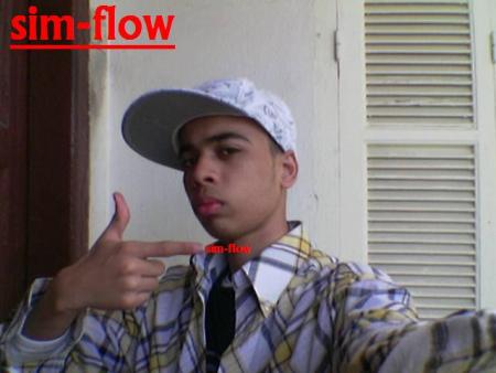 moi(sim-flow)